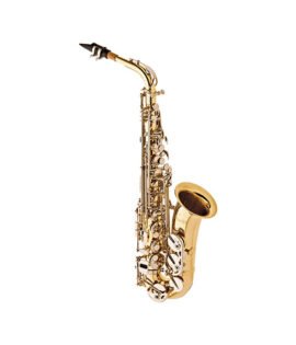 736